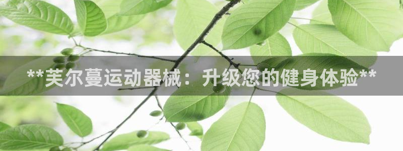 尊龙凯时平台官网：**芙尔蔓运动器械：升级您的健身体