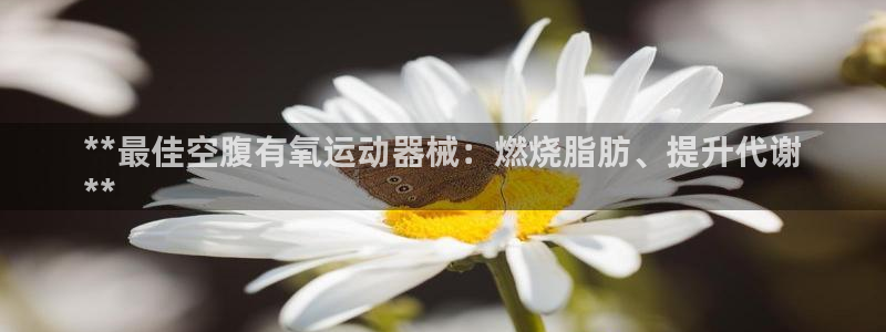 尊龙凯时登陆网址