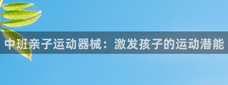 凯时尊龙官网网址：中班亲子运动器械：激发孩子的运动潜