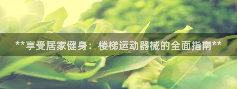 凯时国际app首页登录：**享受居家健身：楼梯运动器械的全面